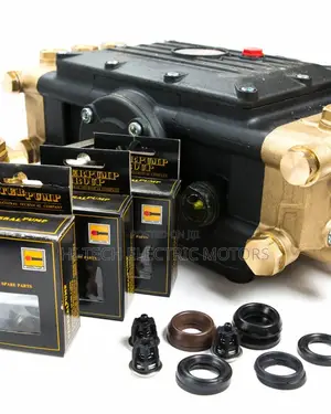 Interpump Ws 201 Inter Pump Genuine High Pressure Pump Italy