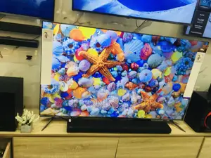 Perfect Design 65 Inches Oled Glossy C1PVA  LG Tv