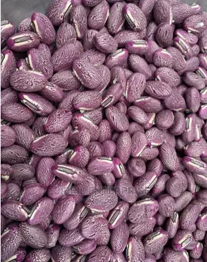 Reddish Sword Beans (Canavalia Gladiata)