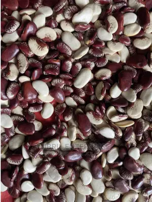 Lima Beans (Phaseolus Lunatus
