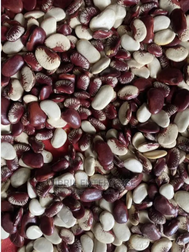 Lima Beans (Phaseolus Lunatus