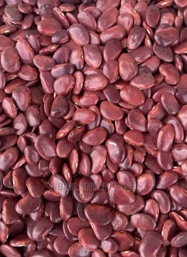 Red Lima Beans (Phaseolus Lunatus)