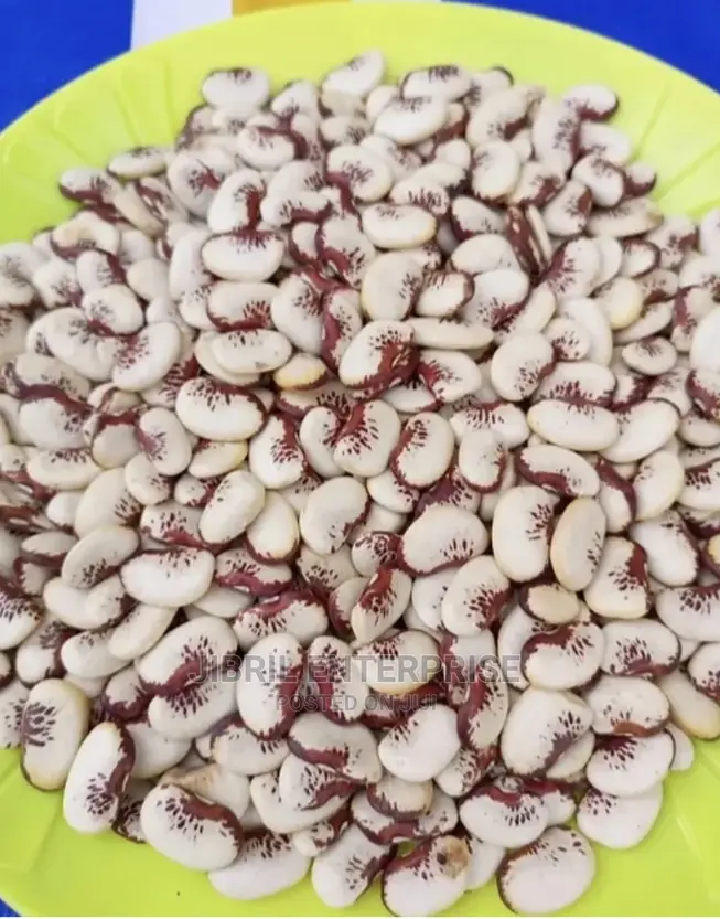 African Lima Beans (Phaseolus Lunatus)