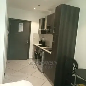 Furnished Studio Apartment at Cantonments (Embassy Gardens)