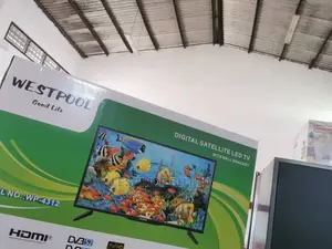 Westpool 43” FHD Digital Satellite TV Full Guarantee