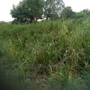 About Four Archers Land at Kasi and Atonsu Area Is on Sales