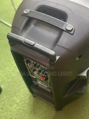 Voyz 15inch Pa Speaker