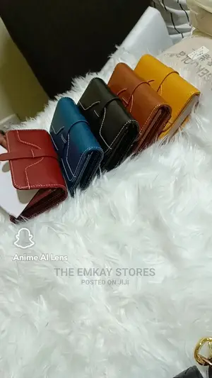 Lady's Purse
