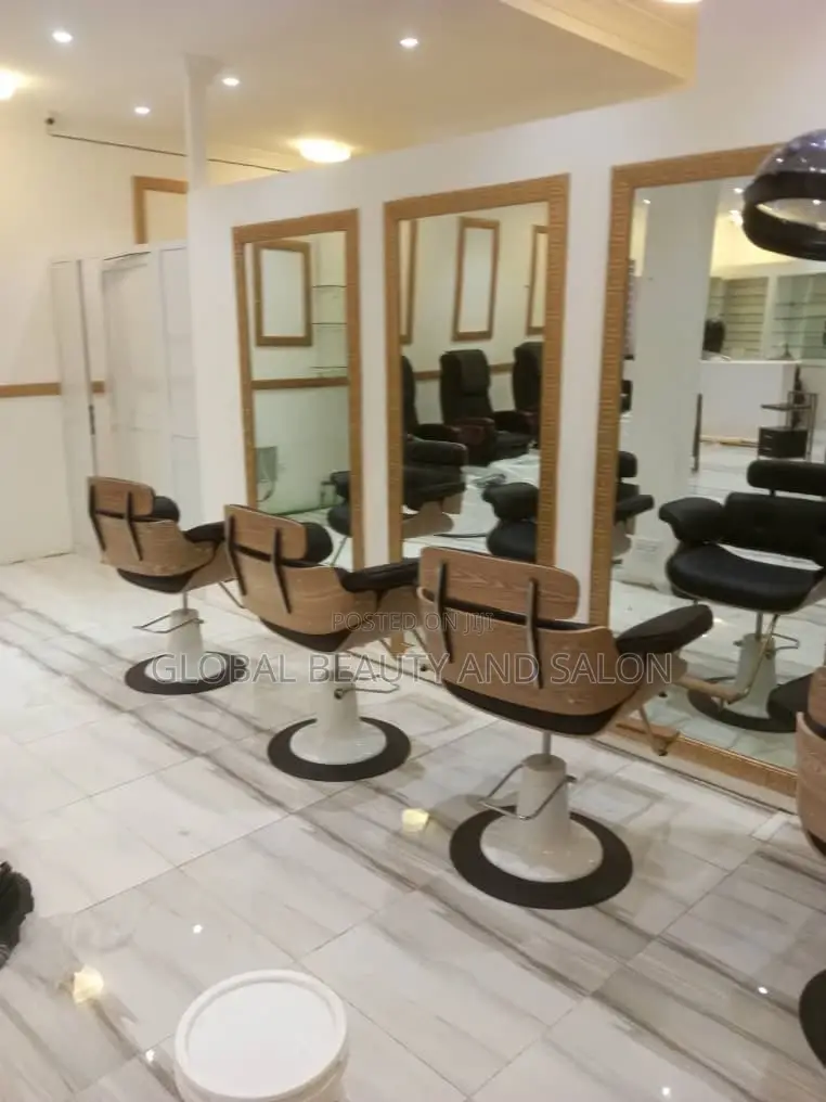 Barber and Salon Chair