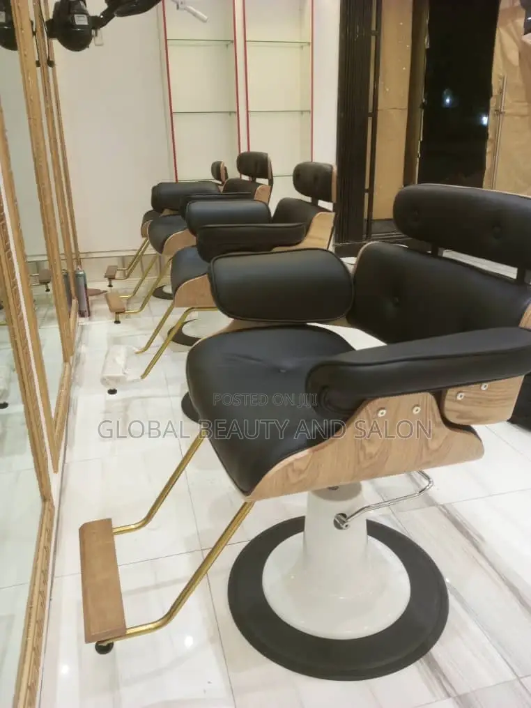 Barber and Salon Chair