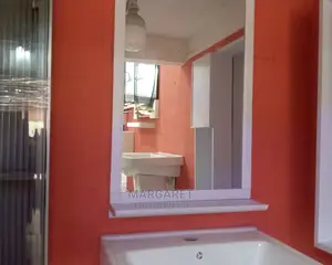 Cabinet Wash Hand Basin and Nice Mirror