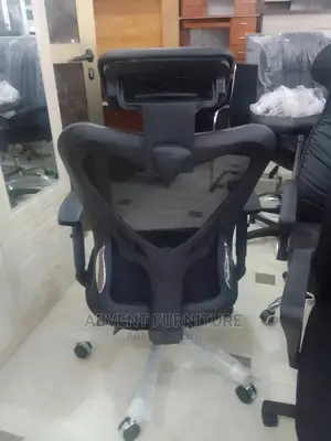 Ergonomic Chair