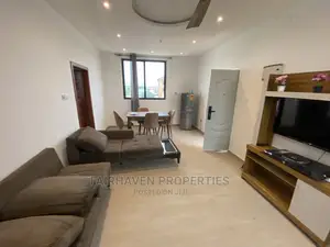 Fully Furnished 1bedroom Apartment at Tseaddo