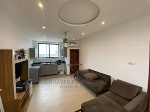 Fully Furnished 1bedroom Apartment at Tseaddo