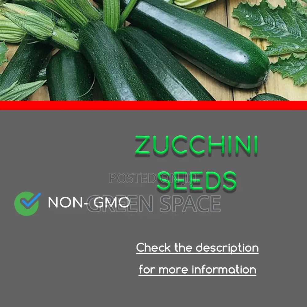 Squash Seeds
