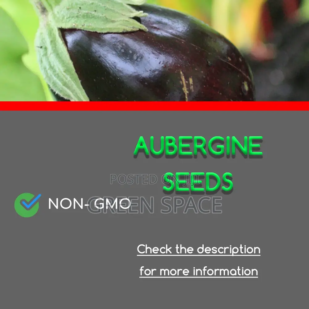 Aubergine Seeds
