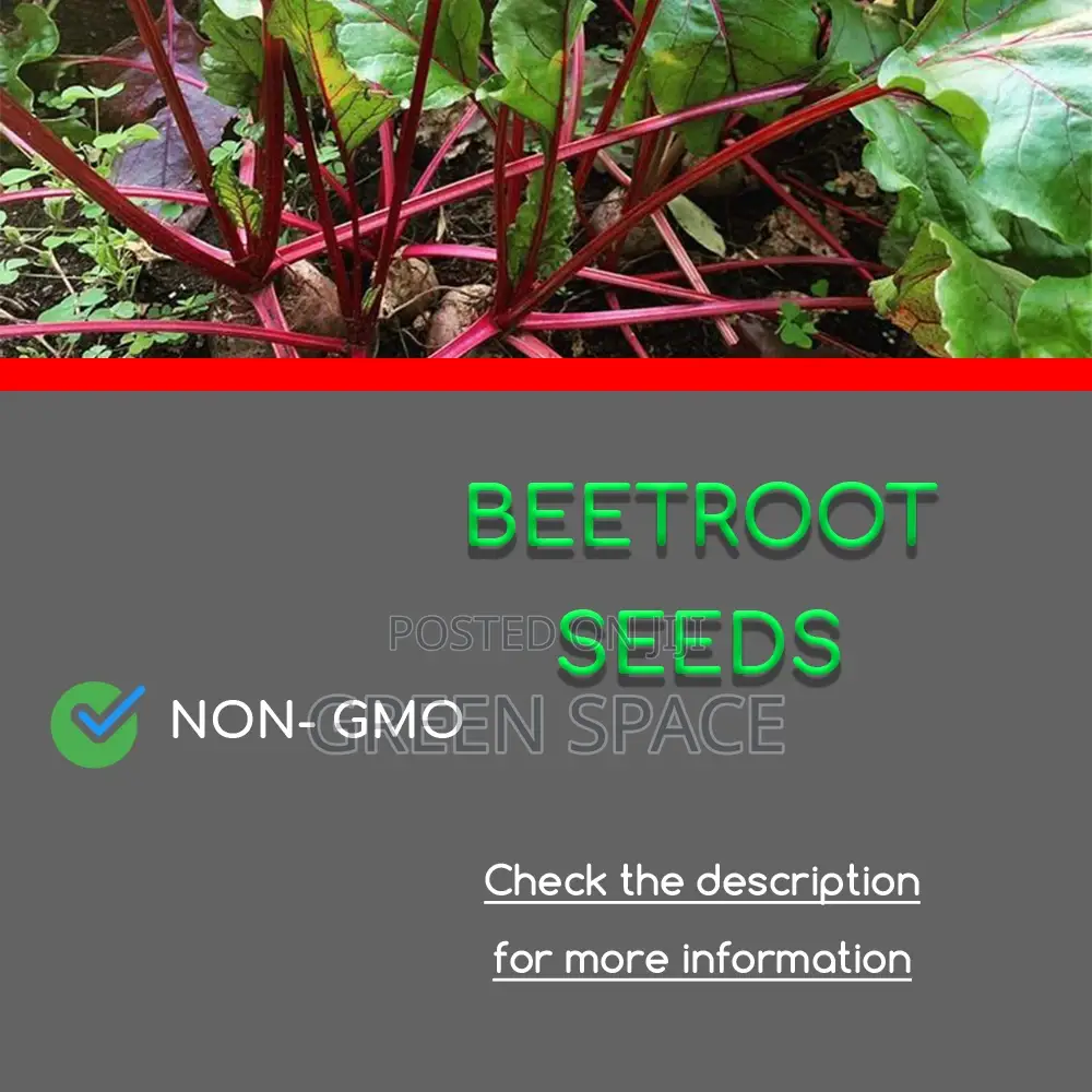 Beetroot Seeds