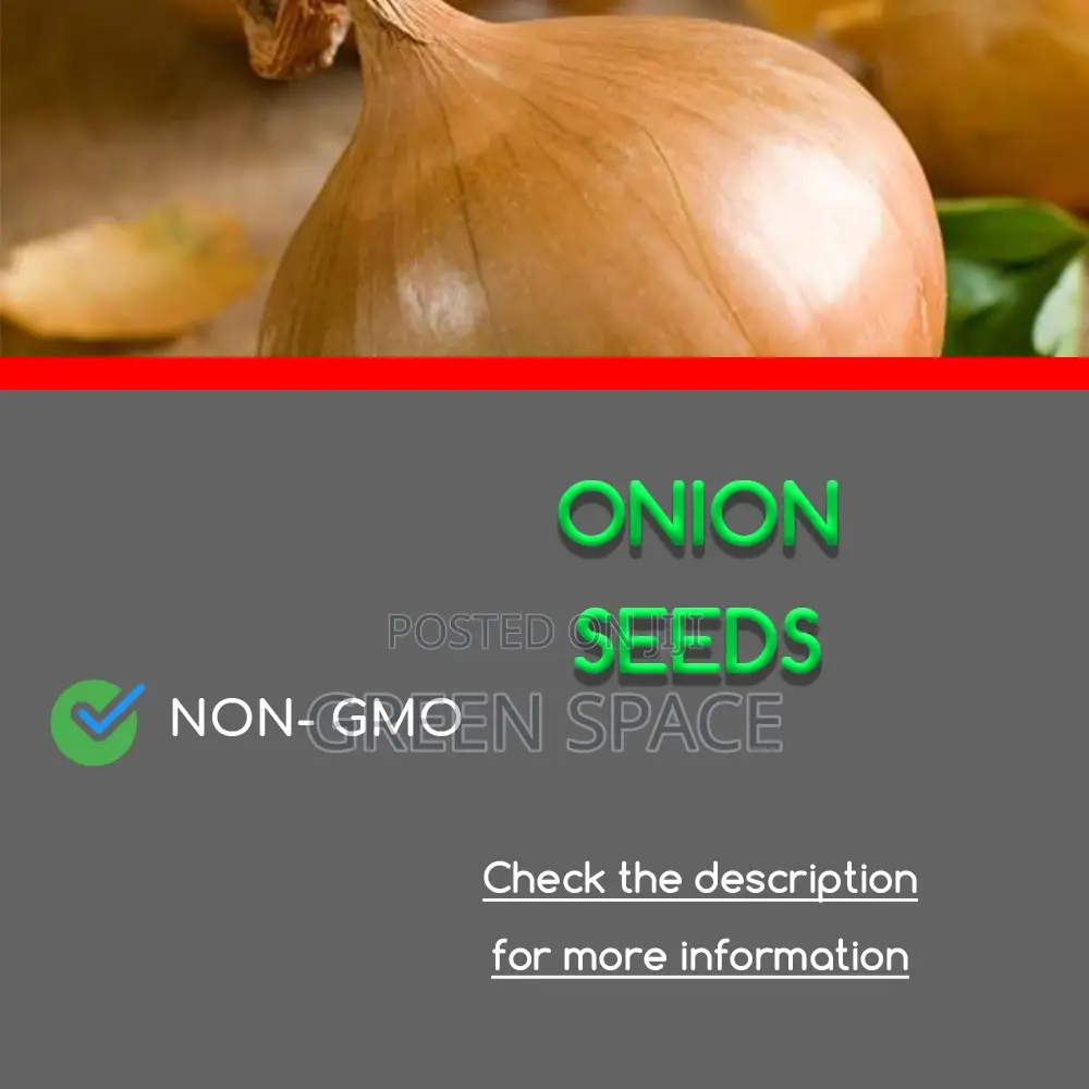 Onion Seeds