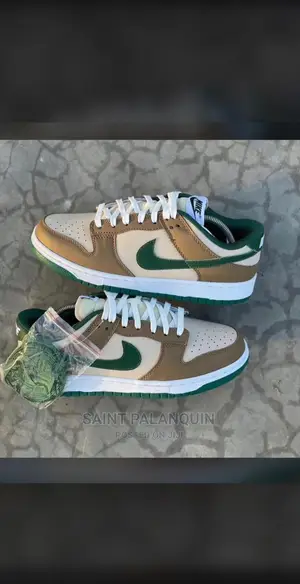 Nike Air Dunks