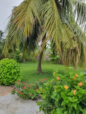 One Acre Bare Land at North Ridge for Sale