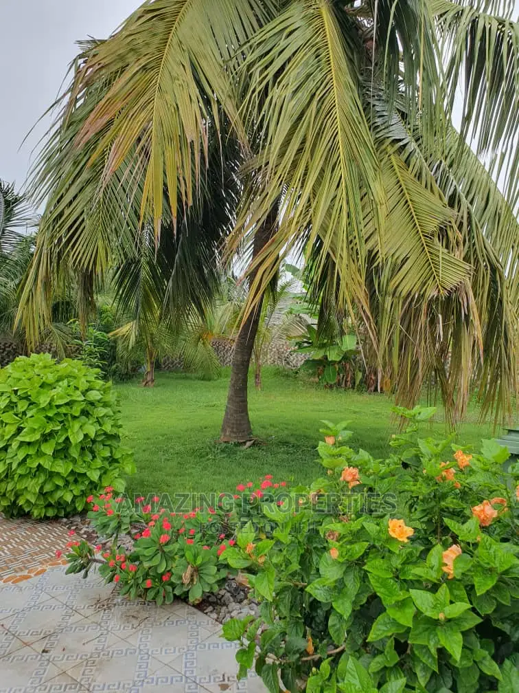One Acre Bare Land at North Ridge for Sale