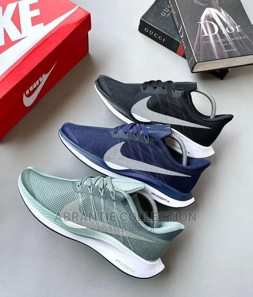 Nike Zoom Pegasus