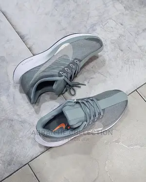 Nike Zoom Pegasus