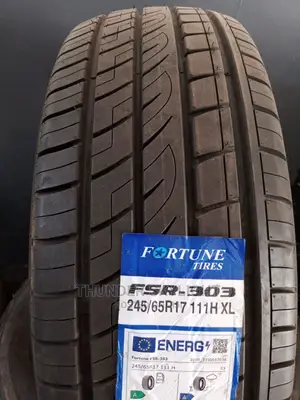 245/65r17 Tyre Fortune