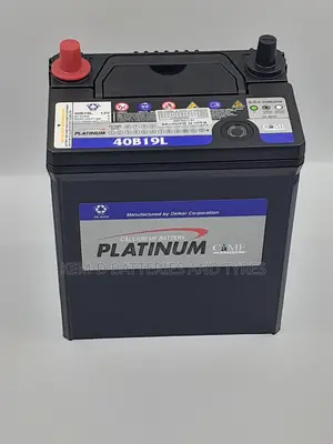 Platinum Battery + Free Delivery