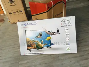 43 Inches Glossy LED Nasco Affordable Tv
