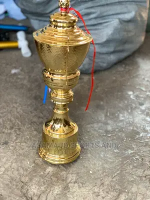 Original Trophy At Cool Price