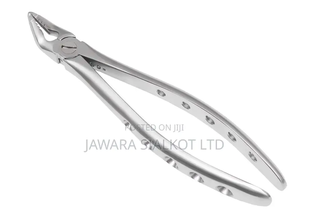 Dental Extraction Forcep Stainless Steel