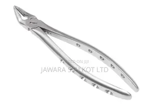 Dental Extraction Forcep Stainless Steel