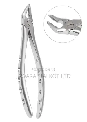 Dental Extraction Forcep Stainless Steel