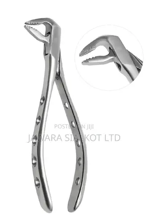 Dental Extraction Forcep Stainless Steel