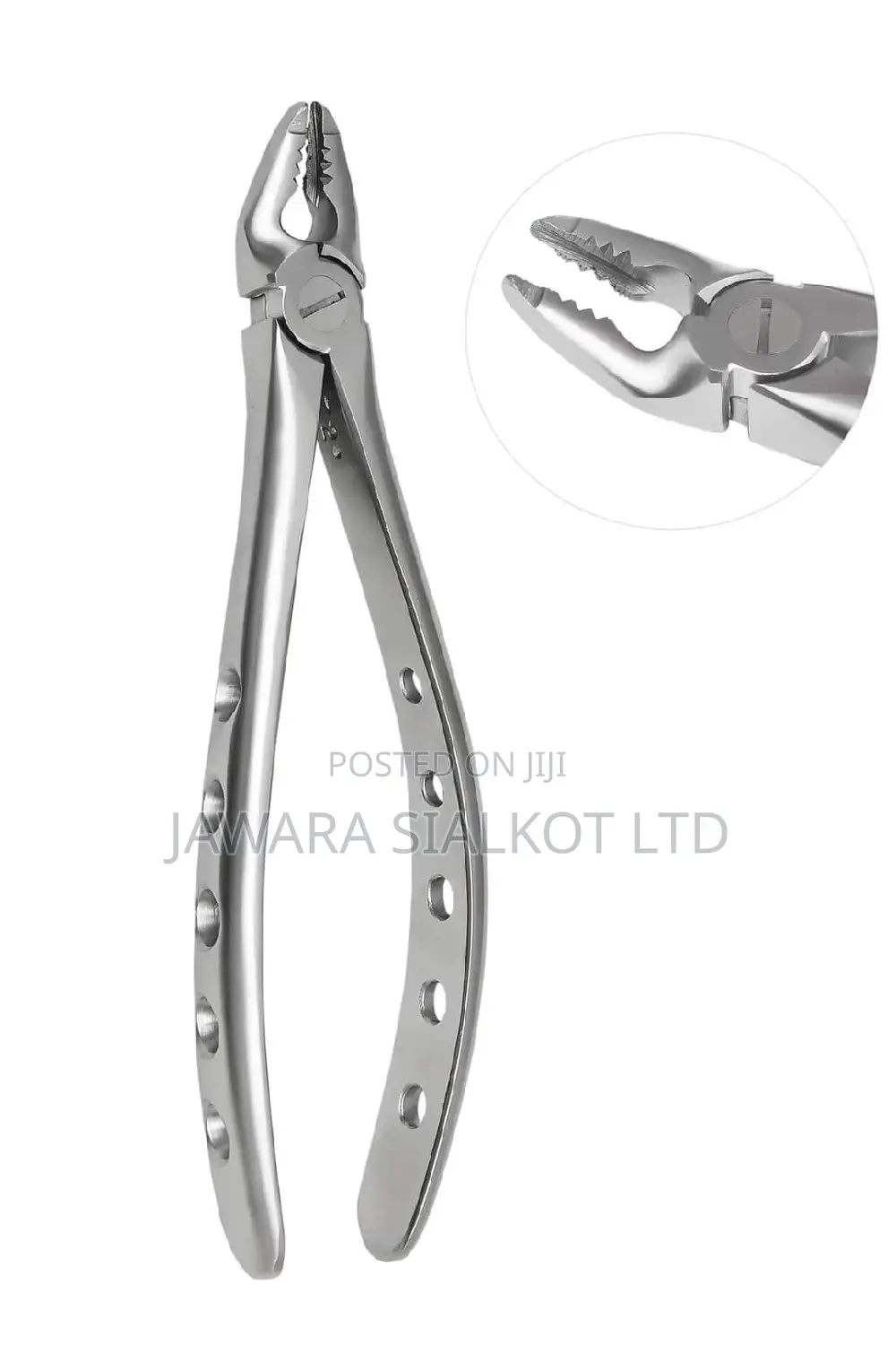 Dental Extraction Forcep Stainless Steel