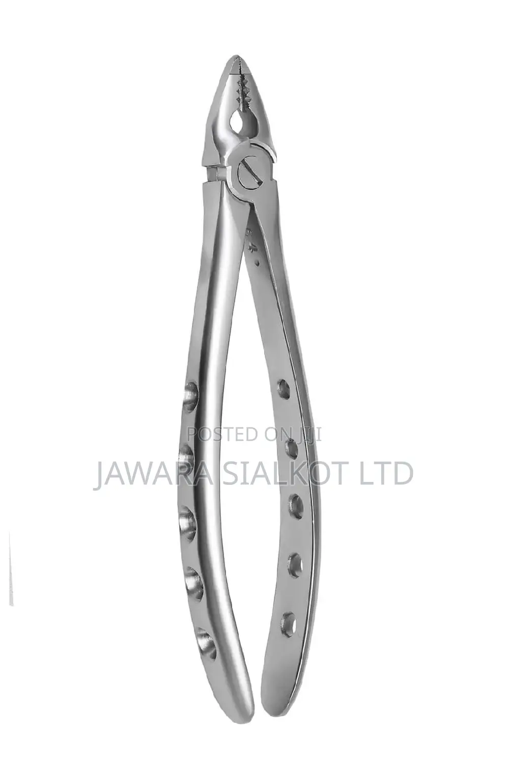 Dental Extraction Forcep Stainless Steel