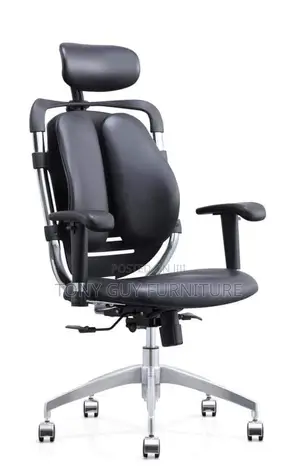 Ergonomic Chair