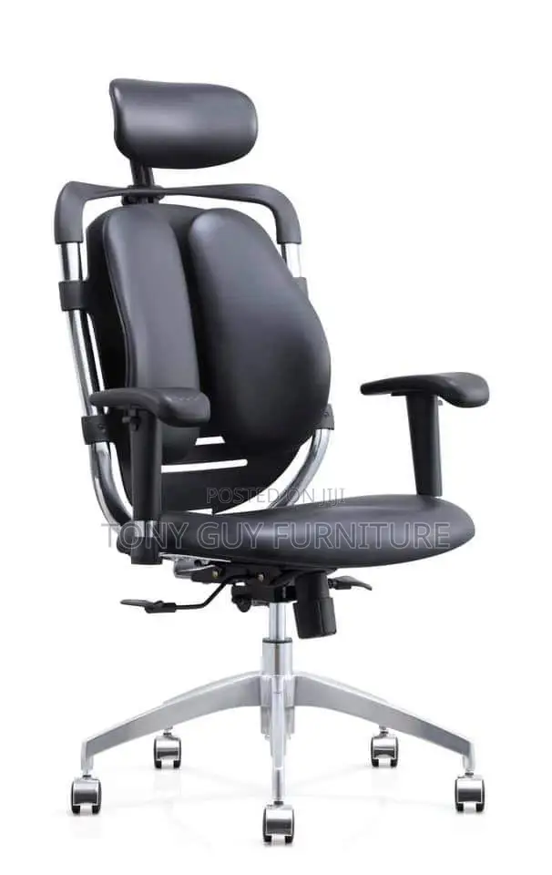 Ergonomic Chair