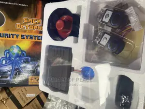 Car Alarm System