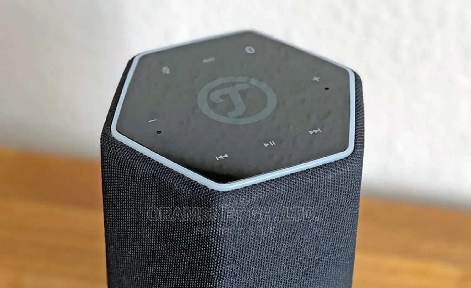 Teufel Holist S Speaker