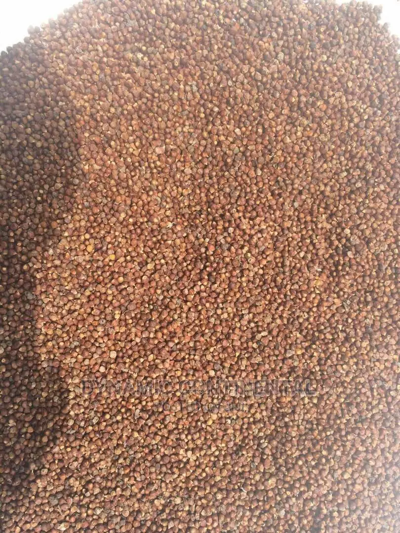 Grains of Paradise (Aligator Pepper)
