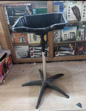 Quality Standing Hair Wash Basin.