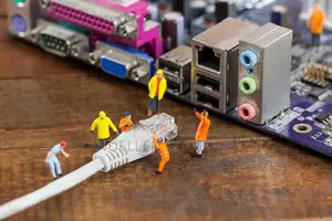 LAN Office and Business Networking