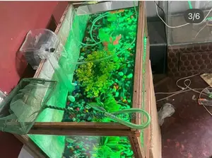 Bedside and Office Side Aquarium