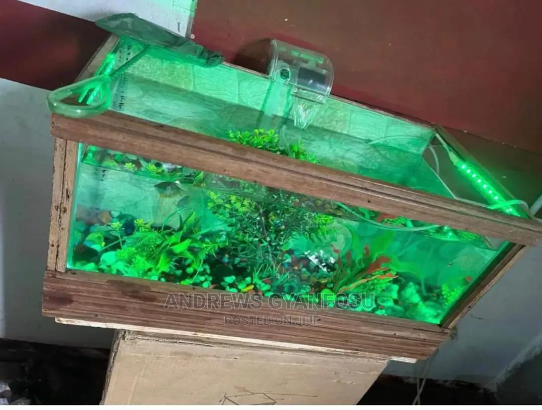Bedside and Office Side Aquarium