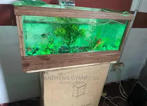 Bedside and Office Side Aquarium