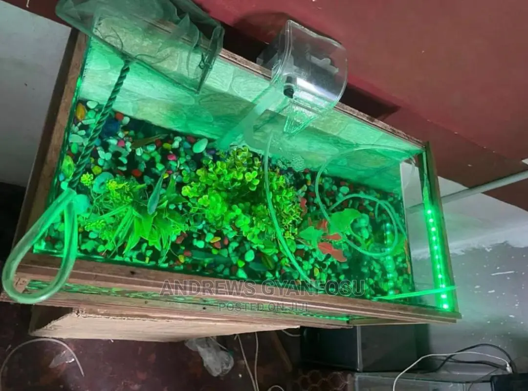 Bedside and Office Side Aquarium