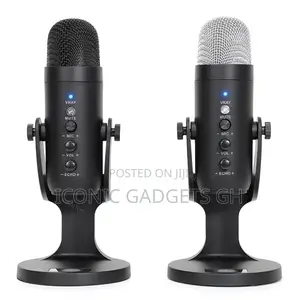 Zealsound Portable Usb Microphone Console