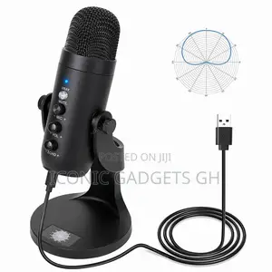 Zealsound Portable Usb Microphone Console